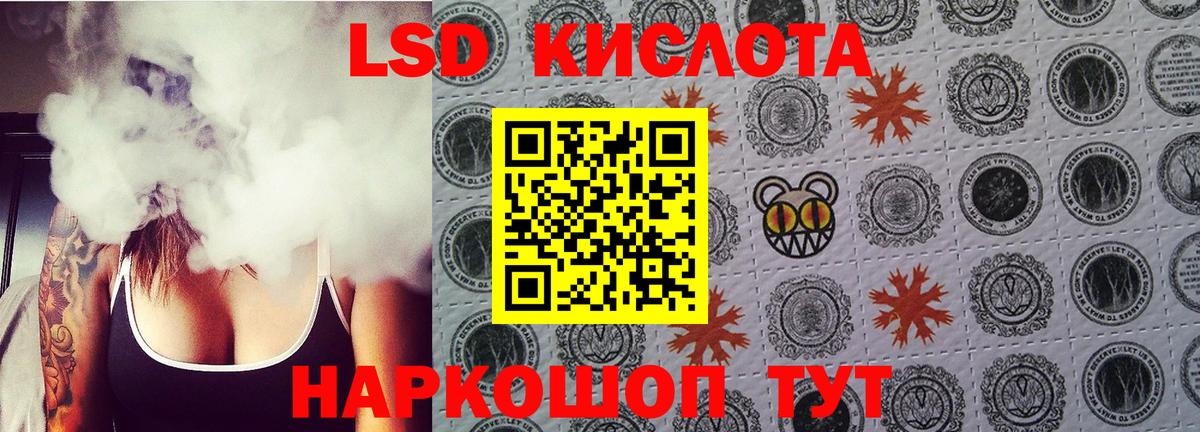 Новороссийск  mega как войти  Вход с VPN  LSD-25 экстази ecstasy  Лсд 25 экстази 