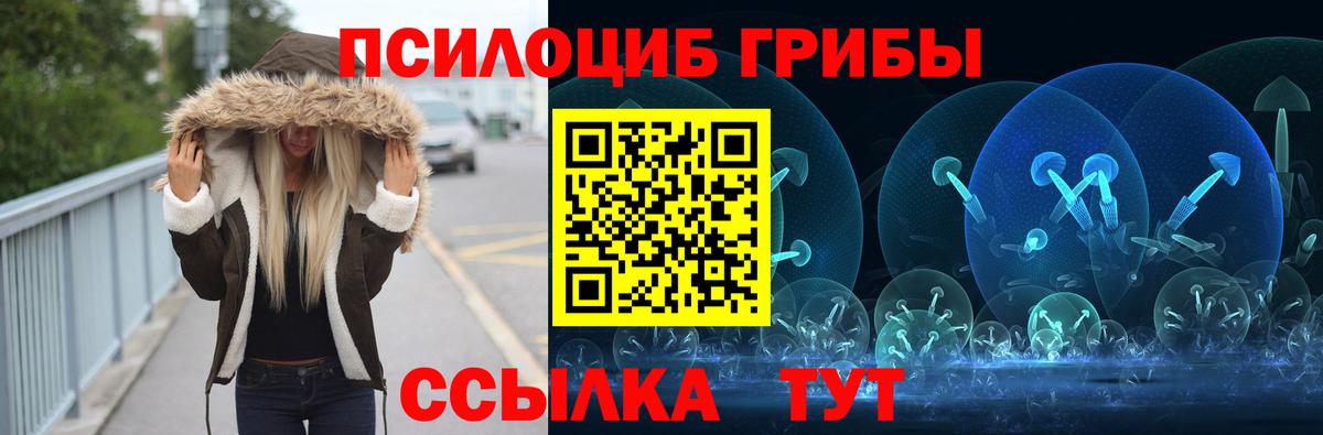 Галлюциногенные грибы прущие грибы Новороссийск